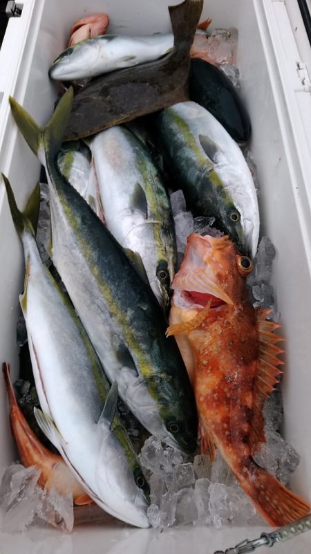 LUSTER『ラスター』 釣果