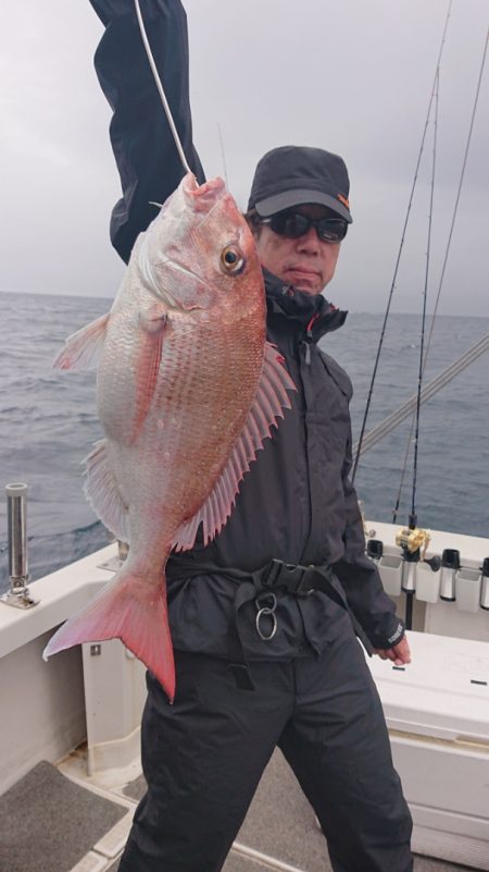 ARCADIAⅡ (アルカディアⅡ) 釣果