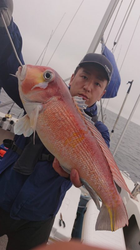 ARCADIAⅡ (アルカディアⅡ) 釣果