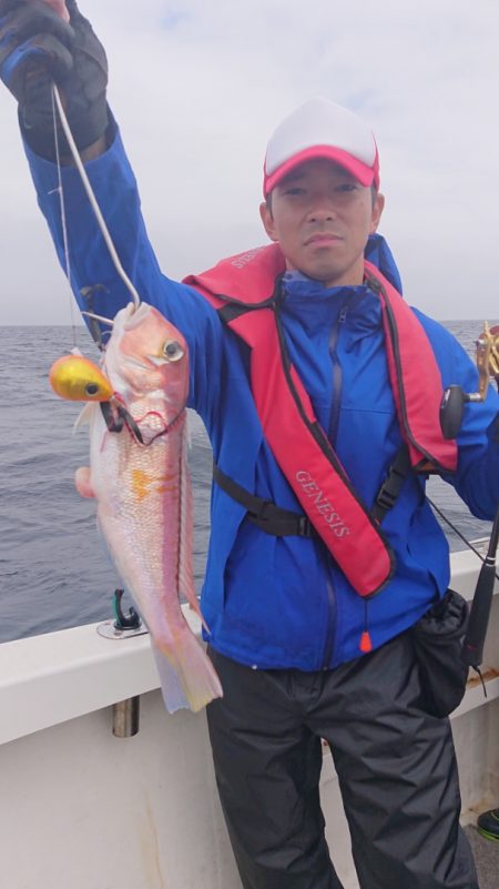 ARCADIAⅡ (アルカディアⅡ) 釣果