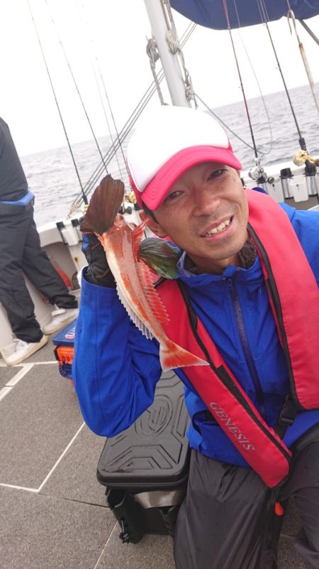 ARCADIAⅡ (アルカディアⅡ) 釣果