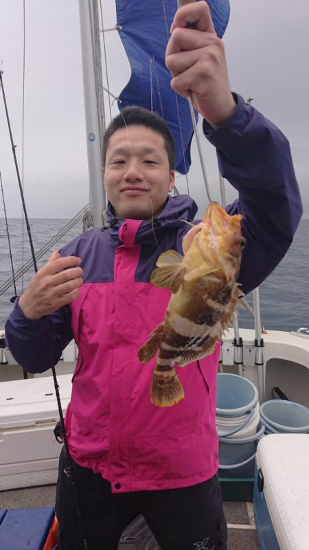 ARCADIAⅡ (アルカディアⅡ) 釣果