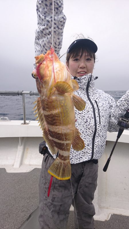 ARCADIAⅡ (アルカディアⅡ) 釣果