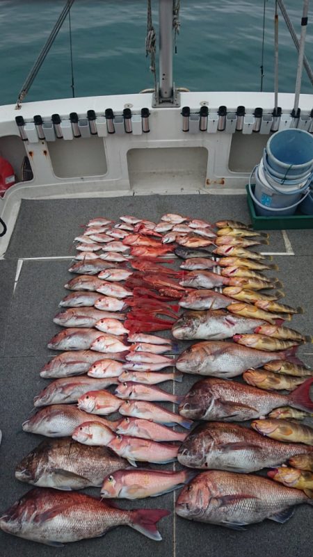 ARCADIAⅡ (アルカディアⅡ) 釣果