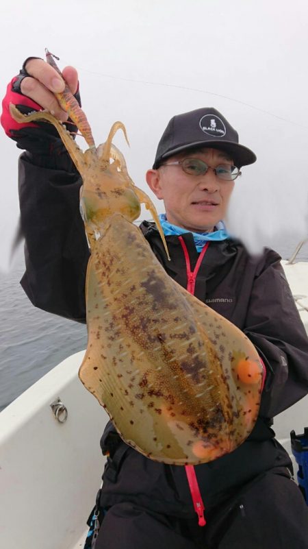 きずなまりん 釣果