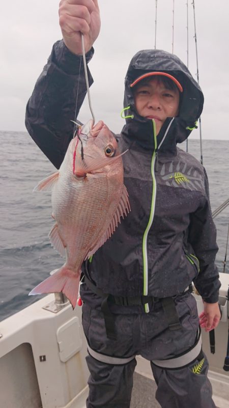 ARCADIAⅡ (アルカディアⅡ) 釣果