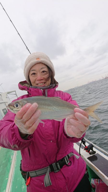 金沢八景鴨下丸 釣果