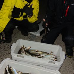 シースナイパー海龍 釣果