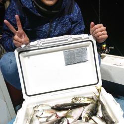 シースナイパー海龍 釣果