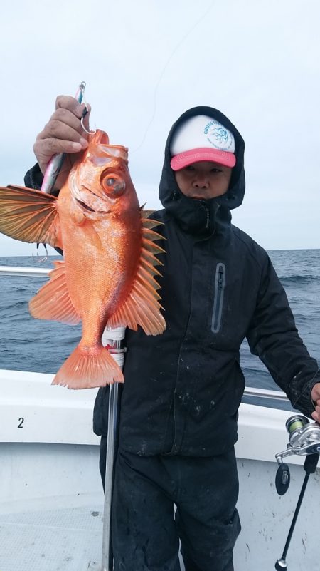 LUSTER『ラスター』 釣果