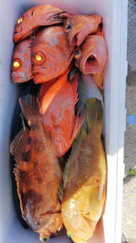 第二龍勢丸 釣果