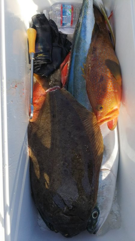 第二龍勢丸 釣果