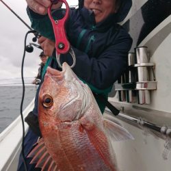 だて丸 釣果