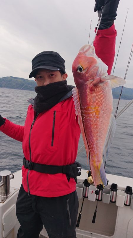 ARCADIAⅡ （アルカディアⅡ） 釣果…