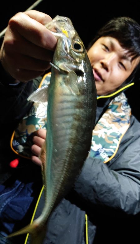 シースナイパー海龍 釣果