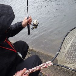 平谷湖フィッシングスポット 釣果