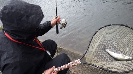 平谷湖フィッシングスポット 釣果