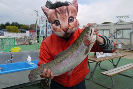 としまえんフィッシングエリア 釣果