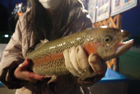 としまえんフィッシングエリア 釣果