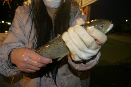 としまえんフィッシングエリア 釣果