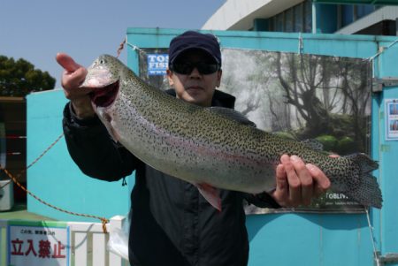 としまえんフィッシングエリア 釣果