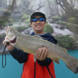 としまえんフィッシングエリア 釣果