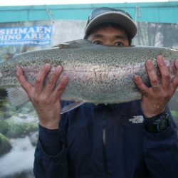 としまえんフィッシングエリア 釣果