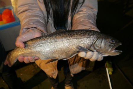 としまえんフィッシングエリア 釣果