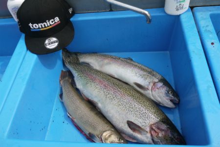 としまえんフィッシングエリア 釣果