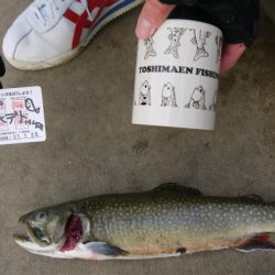 としまえんフィッシングエリア 釣果