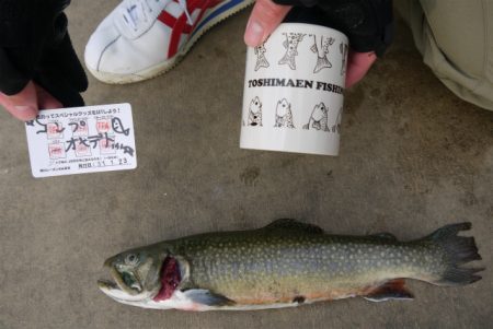 としまえんフィッシングエリア 釣果