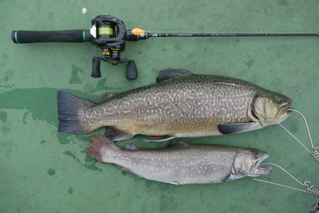 としまえんフィッシングエリア 釣果