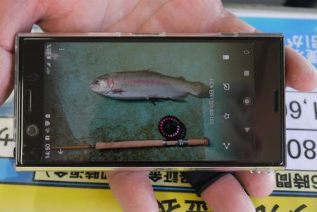 としまえんフィッシングエリア 釣果