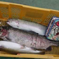 としまえんフィッシングエリア 釣果