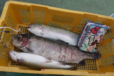 としまえんフィッシングエリア 釣果