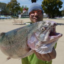 としまえんフィッシングエリア 釣果