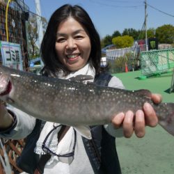 としまえんフィッシングエリア 釣果