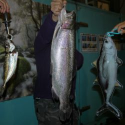 としまえんフィッシングエリア 釣果