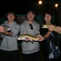 としまえんフィッシングエリア 釣果