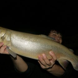 としまえんフィッシングエリア 釣果