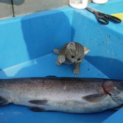 としまえんフィッシングエリア 釣果