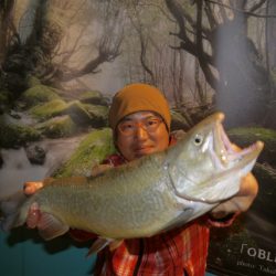 としまえんフィッシングエリア 釣果