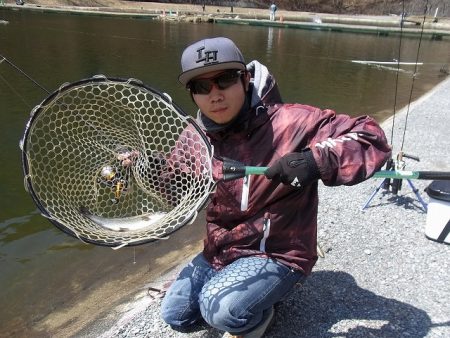 平谷湖フィッシングスポット 釣果