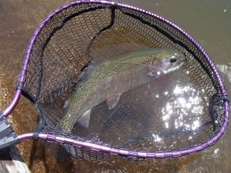 平谷湖フィッシングスポット 釣果