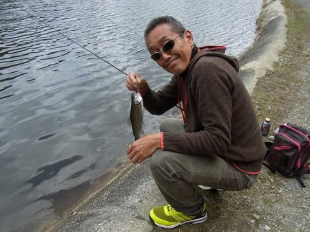 平谷湖フィッシングスポット 釣果