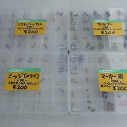 平谷湖フィッシングスポット 釣果