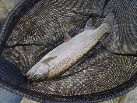 平谷湖フィッシングスポット 釣果