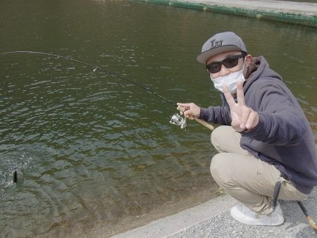 平谷湖フィッシングスポット 釣果
