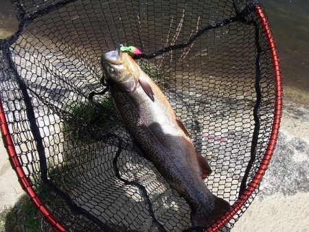 平谷湖フィッシングスポット 釣果