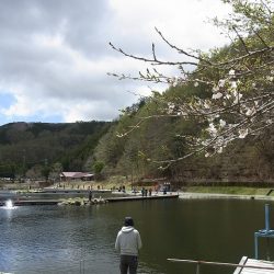 平谷湖フィッシングスポット 釣果